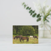 Graaspaarden ATC Visitekaartje (Staand voorkant)