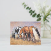 Graaspaarden Briefkaart (Staand voorkant)