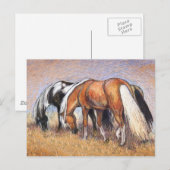 Graaspaarden Briefkaart (Voorkant / Achterkant)