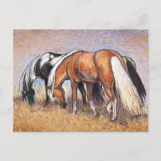 Graaspaarden Briefkaart (Voorkant)