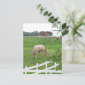 Graaspaarden Briefkaart (Staand voorkant)