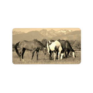 Graaspaarden in Montana Sepia Westerne stijl Etiket