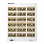 Graaspaarden in Montana Sepia Westerne stijl Etiket (Full Sheet)