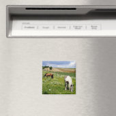 Graaspaarden Magneet (Insitu (Vaatwasser))