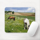 Graaspaarden Muismat (Met muis)
