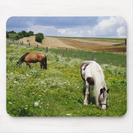 Graaspaarden Muismat (Voorkant)