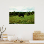 Graaspaarden Poster (Keuken)