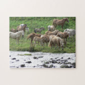 Graaspaarden puzzel legpuzzel (Horizontaal)