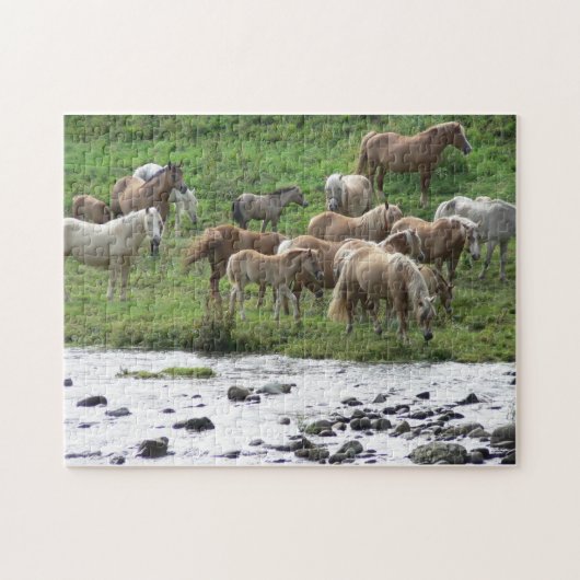 Graaspaarden puzzel legpuzzel (Horizontaal)