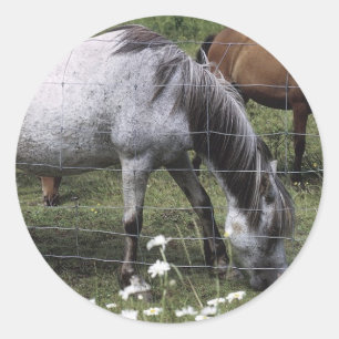 Graaspaarden Ronde Sticker