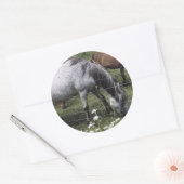 Graaspaarden Ronde Sticker (Envelop)