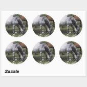 Graaspaarden Ronde Sticker (Vel)