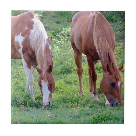 Graaspaarden Tegeltje (Voorkant)