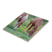 Graaspaarden Tegeltje (Zijkant)