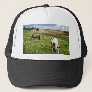 Graaspaarden Trucker Pet