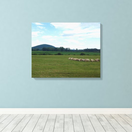 Graasschaap Canvas Afdruk (Insitu (Houten vloer))