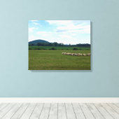 Graasschaap Canvas Afdruk (Insitu (Houten vloer))