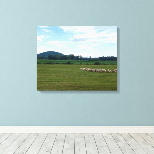 Graasschaap Canvas Afdruk (Insitu (Houten vloer))