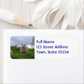 Graasschaap Etiket (Insitu)