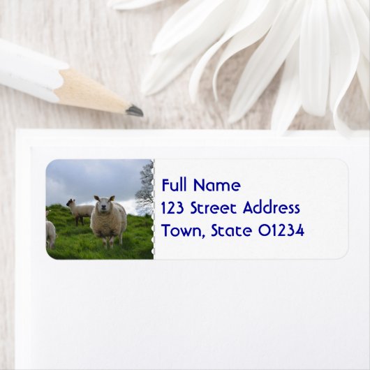 Graasschaap Etiket (Insitu)