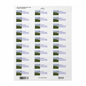 Graasschaap Etiket (Full Sheet)