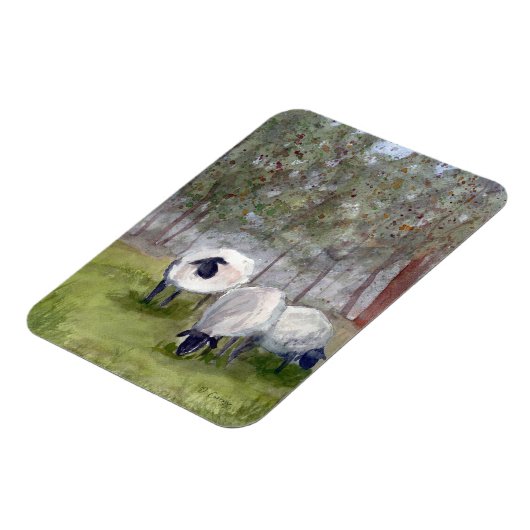 Graasschaap Magneet (Linkerzijde)