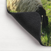 Graasschaap Muismat (Hoek)