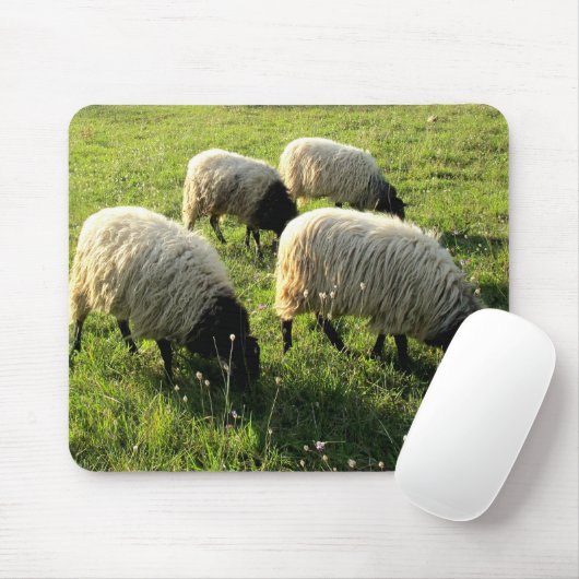 Graasschaap Muismat (Met muis)