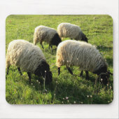 Graasschaap Muismat (Voorkant)
