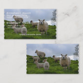 Graasschaap Visitekaartje (Voorkant / Achterkant)