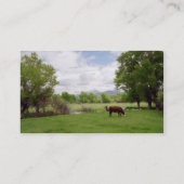 Graasvee v3 visitekaartje (Achterkant)