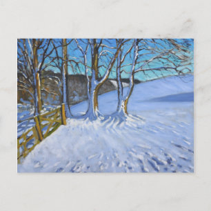 Graat en bomen Winter Dam Lane Derbyshire 2013 Briefkaart