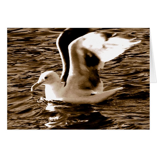 Grace_ (Voorkant Horizontaal)