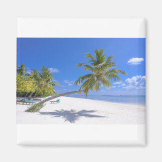 Grace Bay, Turks en Caicos Sand & Blue Ocean Waves Magneet