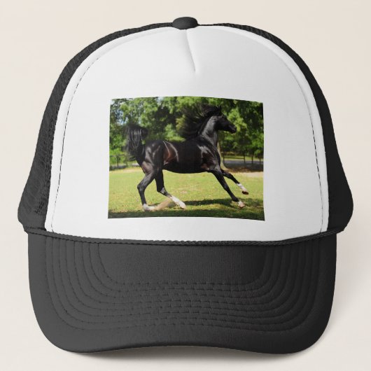 Grace & Beauty Trucker Pet (Voorkant)