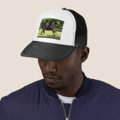 Grace & Beauty Trucker Pet (In situ)