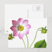 Grace Briefkaart (Voorkant / Achterkant)