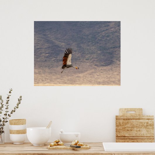 Grace in Flight - Grijs gekroonde kraan Poster (Keuken)