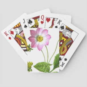Grace Pokerkaarten