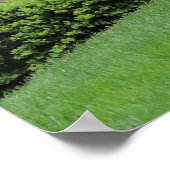 Grace Psalm 103:8 Spring Floral Poster (Hoek)