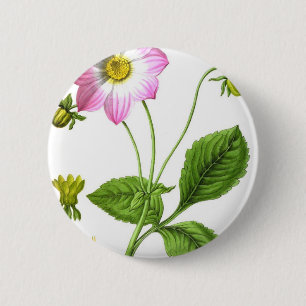Grace Ronde Button 5,7 Cm