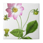 Grace Tegeltje (Voorkant)