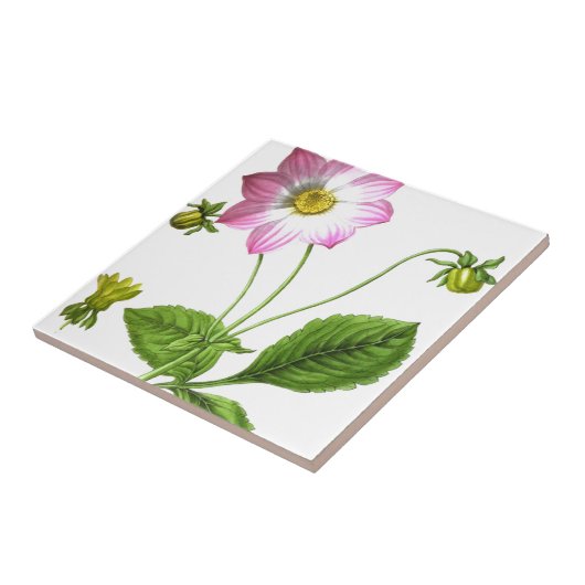 Grace Tegeltje (Zijkant)