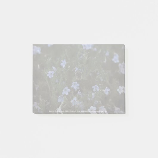 Grace voor bijen post-it® notes (Voorkant)