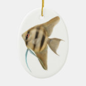 Graceful Angelfish Ornament (Voorkant)