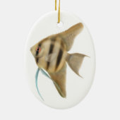Graceful Angelfish Ornament (Achterkant)