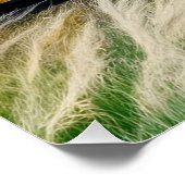 Graceful Black Horse Galoping in een levendig veld Perfect Poster (Hoek)