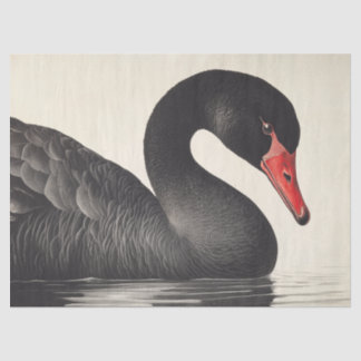 Graceful Black Swan in Ornithologie Decoupage Stij Tissuepapier