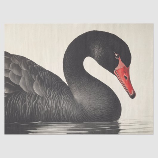 Graceful Black Swan in Ornithologie Decoupage Stij Tissuepapier (Voorkant)