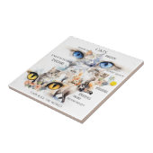 Graceful Cats Waterverf Art Typografie Tegeltje (Zijkant)